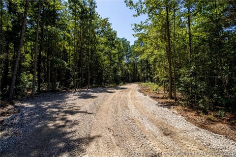 Tiny photo for TBD Balfour Road, Lumber Bridge, NC 28357 (MLS # 767920)