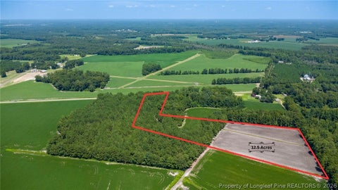 Photo of TBD Balfour Road, Lumber Bridge, NC 28357 (MLS # 767920)