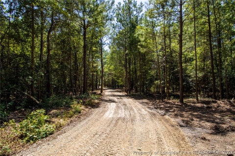 Tiny photo for TBD Balfour Road, Lumber Bridge, NC 28357 (MLS # 767920)