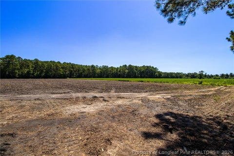 Tiny photo for TBD Balfour Road, Lumber Bridge, NC 28357 (MLS # 767920)