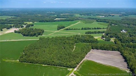 Tiny photo for TBD Balfour Road, Lumber Bridge, NC 28357 (MLS # 767920)