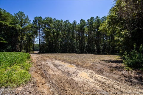 Tiny photo for TBD Balfour Road, Lumber Bridge, NC 28357 (MLS # 767920)