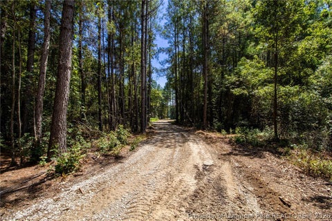 Tiny photo for TBD Balfour Road, Lumber Bridge, NC 28357 (MLS # 767920)