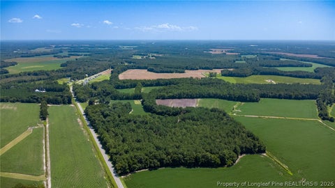 Tiny photo for TBD Balfour Road, Lumber Bridge, NC 28357 (MLS # 767920)
