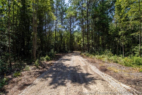 Tiny photo for TBD Balfour Road, Lumber Bridge, NC 28357 (MLS # 767920)