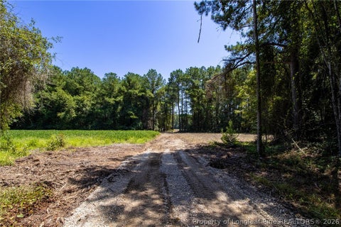 Tiny photo for TBD Balfour Road, Lumber Bridge, NC 28357 (MLS # 767920)