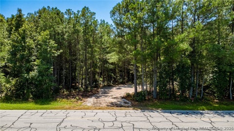 Tiny photo for TBD Balfour Road, Lumber Bridge, NC 28357 (MLS # 767920)