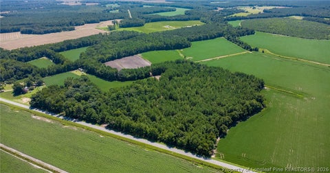 Tiny photo for TBD Balfour Road, Lumber Bridge, NC 28357 (MLS # 767920)