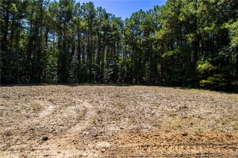 Tiny photo for TBD Balfour Road, Lumber Bridge, NC 28357 (MLS # 767920)