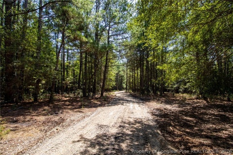 Tiny photo for TBD Balfour Road, Lumber Bridge, NC 28357 (MLS # 767920)