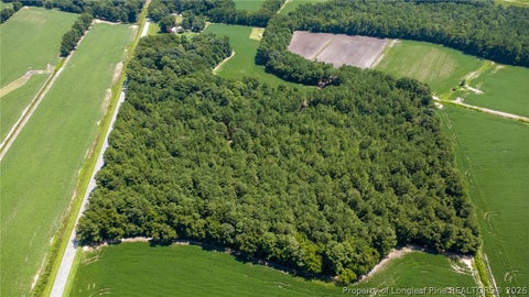Tiny photo for TBD Balfour Road, Lumber Bridge, NC 28357 (MLS # 767920)