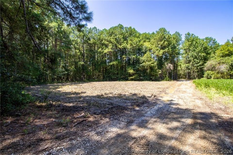 Tiny photo for TBD Balfour Road, Lumber Bridge, NC 28357 (MLS # 767920)