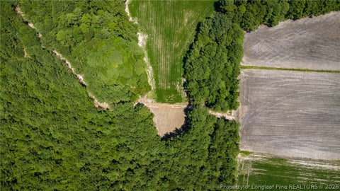 Tiny photo for TBD Balfour Road, Lumber Bridge, NC 28357 (MLS # 767920)