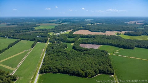 Tiny photo for TBD Balfour Road, Lumber Bridge, NC 28357 (MLS # 767920)