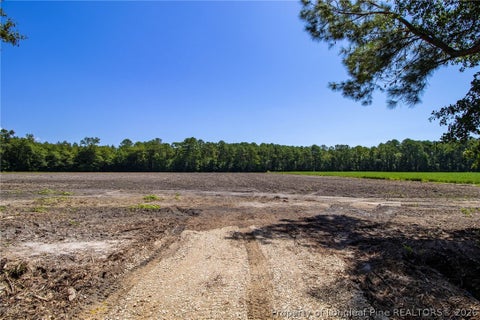 Tiny photo for TBD Balfour Road, Lumber Bridge, NC 28357 (MLS # 767920)