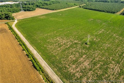 Tiny photo for 00 Old Wire (Lot 13) Road, Shannon, NC 28386 (MLS # 764236)