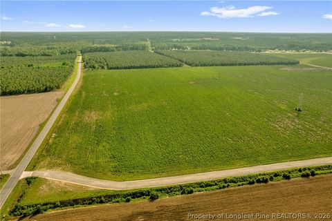 Tiny photo for 00 Old Wire (Lot 13) Road, Shannon, NC 28386 (MLS # 764236)