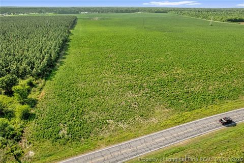 Tiny photo for 00 Old Wire (Lot 13) Road, Shannon, NC 28386 (MLS # 764236)