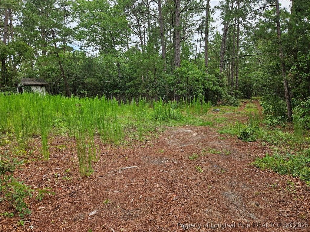 Photo of 5479 Falling Waters Drive, Hope Mills, NC 28348 (MLS # 745409)