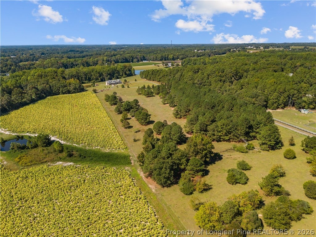 Photo of 592 McNeill Mill Road, Broadway, NC 27505 (MLS # 770379)