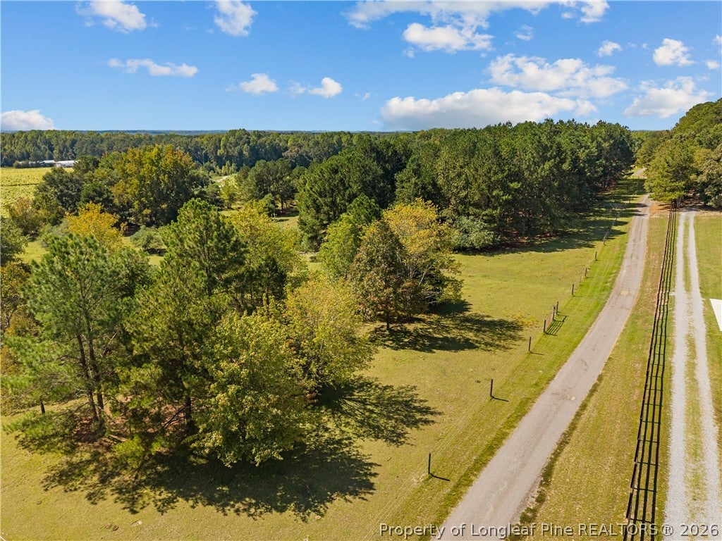 Photo of 592 McNeill Mill Road, Broadway, NC 27505 (MLS # 770379)