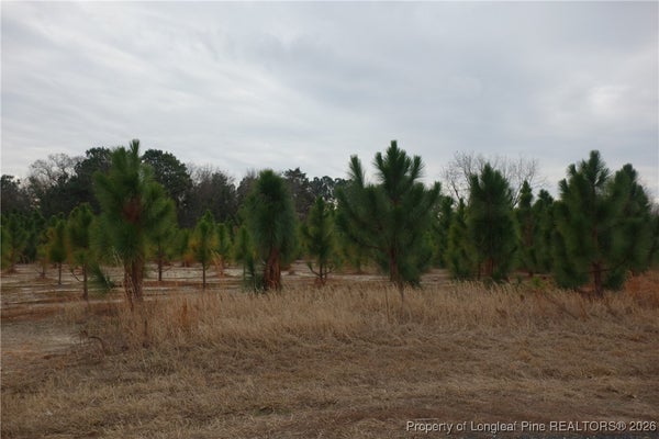 35 STUARTS MILL RD, FAIRMONT, NC 28340 - Image 3e2746659283cfdfe5b86050a3671ec0/312844353