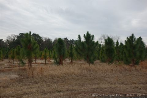 Photo of Lot 41 Stuarts Mill Road, Fairmont, NC 28340 (MLS # 756453)