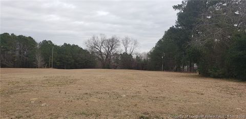 Photo of TBD Shockett Street, Fairmont, NC 28340 (MLS # 758107)