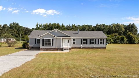 Tiny photo for 189 Little Coharie Lane, Roseboro, NC 28382 (MLS # 762521)