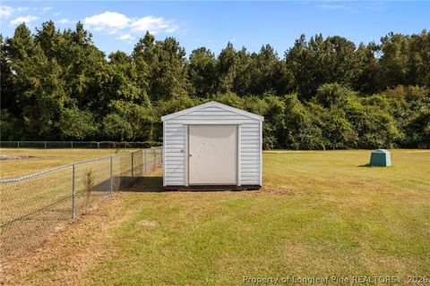 Tiny photo for 189 Little Coharie Lane, Roseboro, NC 28382 (MLS # 762521)