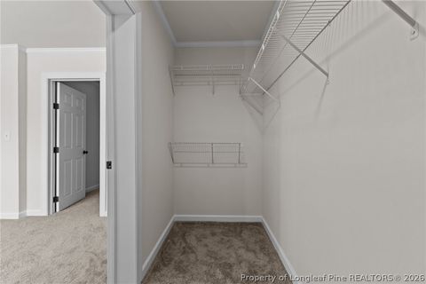 Tiny photo for 189 Little Coharie Lane, Roseboro, NC 28382 (MLS # 762521)