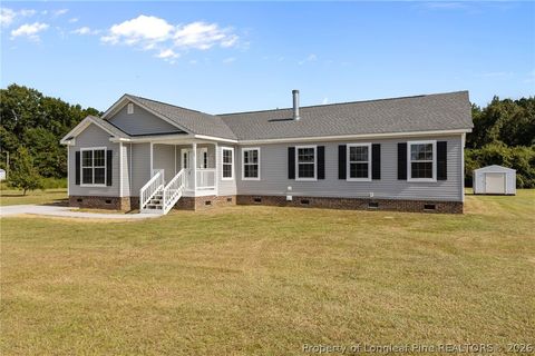Tiny photo for 189 Little Coharie Lane, Roseboro, NC 28382 (MLS # 762521)