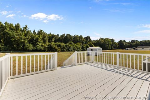 Tiny photo for 189 Little Coharie Lane, Roseboro, NC 28382 (MLS # 762521)