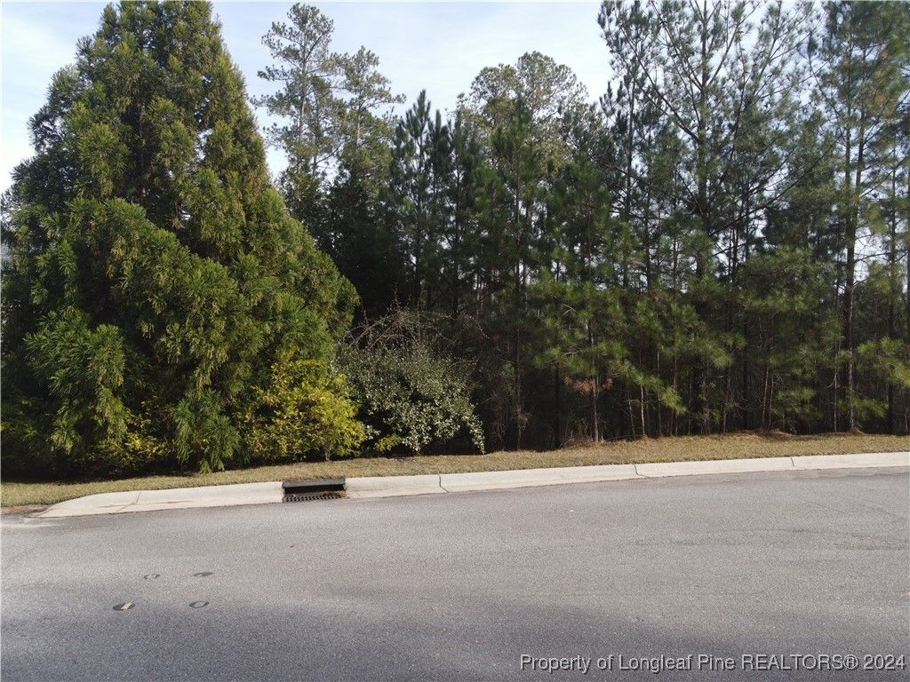 Photo of 32 Broadlake Lane, Spring Lake, NC 28390 (MLS # 736166)