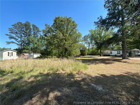 Photo of 3806 McBryde Street, Linden, NC 28356 (MLS # 760857)