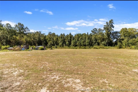 Tiny photo for 9114 Turnbull Road, Fayetteville, NC 28312 (MLS # 769880)