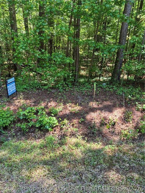 Photo of Near 294 Airport Road Road, Bladenboro, NC 28320 (MLS # 761834)