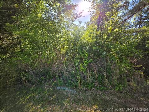 Tiny photo for 0 Leitha Lane, Godwin, NC 28344 (MLS # 760693)