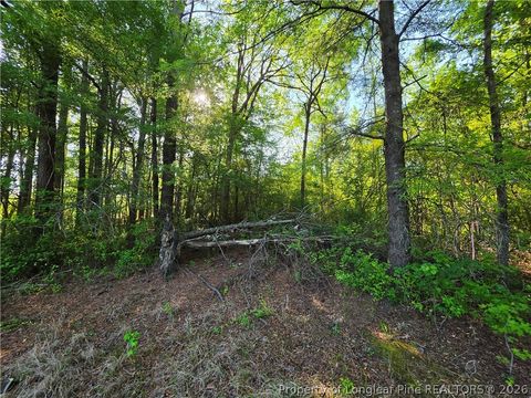 Tiny photo for 0 Leitha Lane, Godwin, NC 28344 (MLS # 760693)