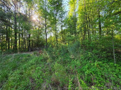 Tiny photo for 0 Leitha Lane, Godwin, NC 28344 (MLS # 760693)