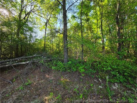 Tiny photo for 0 Leitha Lane, Godwin, NC 28344 (MLS # 760693)