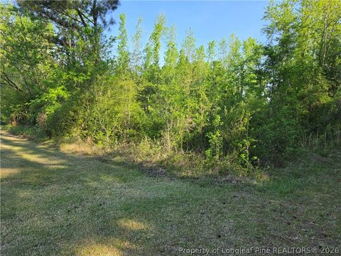 Tiny photo for 0 Leitha Lane, Godwin, NC 28344 (MLS # 760693)