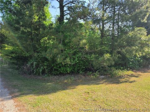 Tiny photo for 0 Leitha Lane, Godwin, NC 28344 (MLS # 760693)