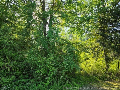 Tiny photo for 0 Leitha Lane, Godwin, NC 28344 (MLS # 760693)