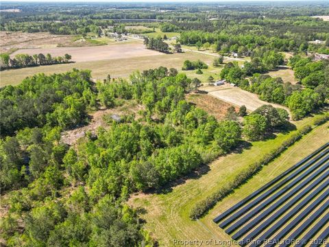 Tiny photo for 0 Leitha Lane, Godwin, NC 28344 (MLS # 760693)