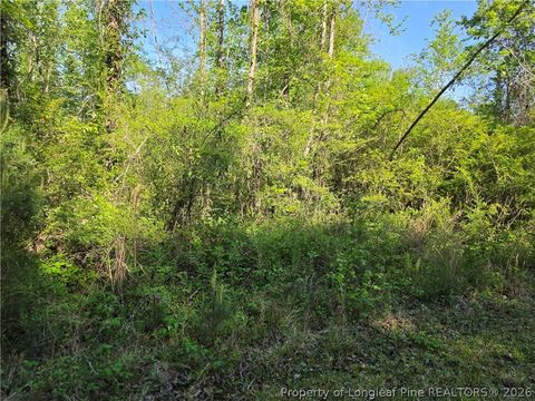 Tiny photo for 0 Leitha Lane, Godwin, NC 28344 (MLS # 760693)