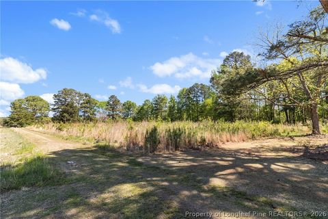 Tiny photo for 0 Leitha Lane, Godwin, NC 28344 (MLS # 760693)
