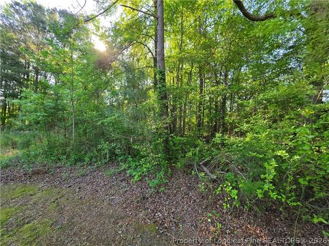 Tiny photo for 0 Leitha Lane, Godwin, NC 28344 (MLS # 760693)