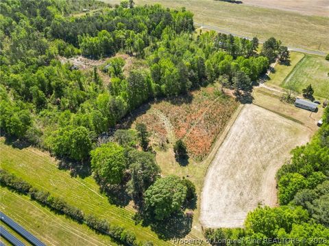 Tiny photo for 0 Leitha Lane, Godwin, NC 28344 (MLS # 760693)