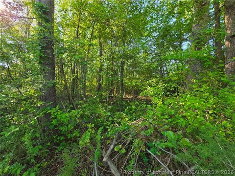 Tiny photo for 0 Leitha Lane, Godwin, NC 28344 (MLS # 760693)